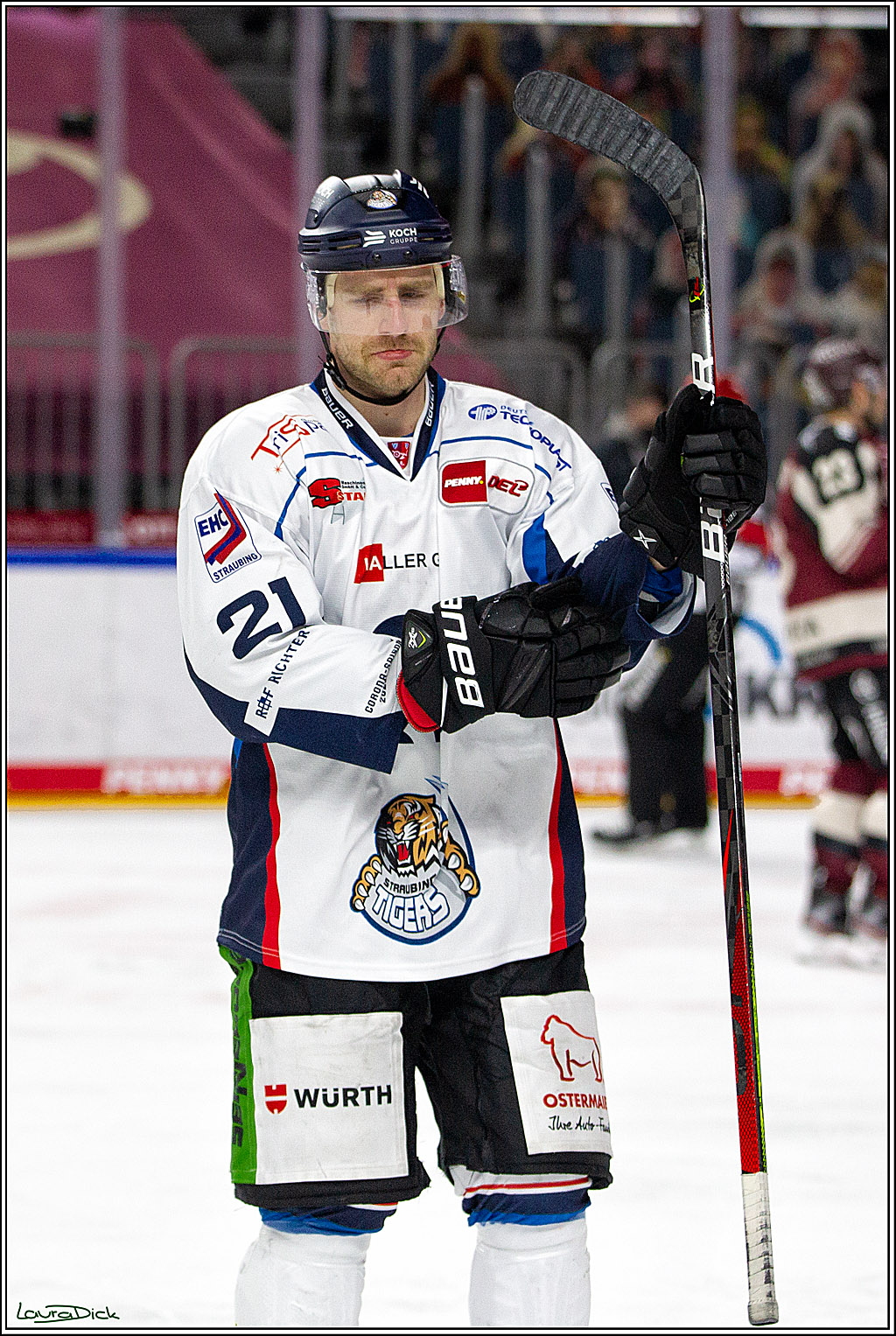 PENNY DEL;  Koelner Haie - Straubing Tigers; Koeln, 14.04.2021